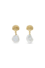 Load image into Gallery viewer, Holly Clamshell Earrings
