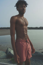 Load image into Gallery viewer, Salmon Trunk
