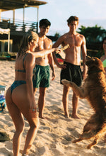 Load image into Gallery viewer, KLEO BOTTOM - Butterfly
